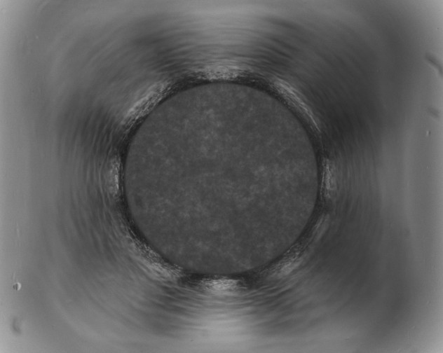 X0000102230501200808221311