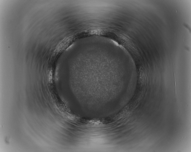 X0000102230502200808221311