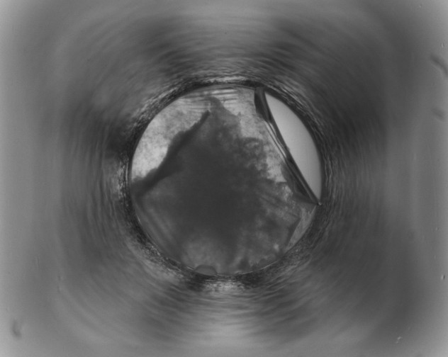 X0000102230503200808221311