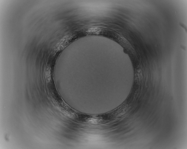 X0000102230504200808221311