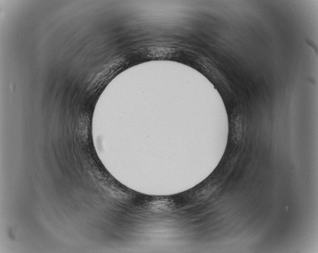 X0000102230505200808221311