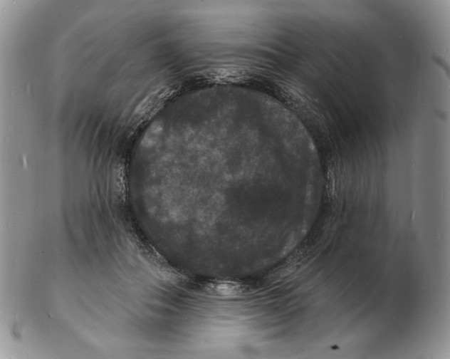 X0000102230506200808221311