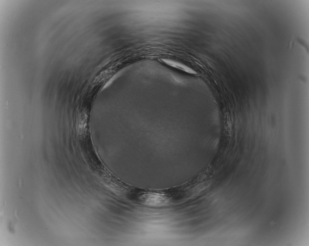 X0000102230507200808221311