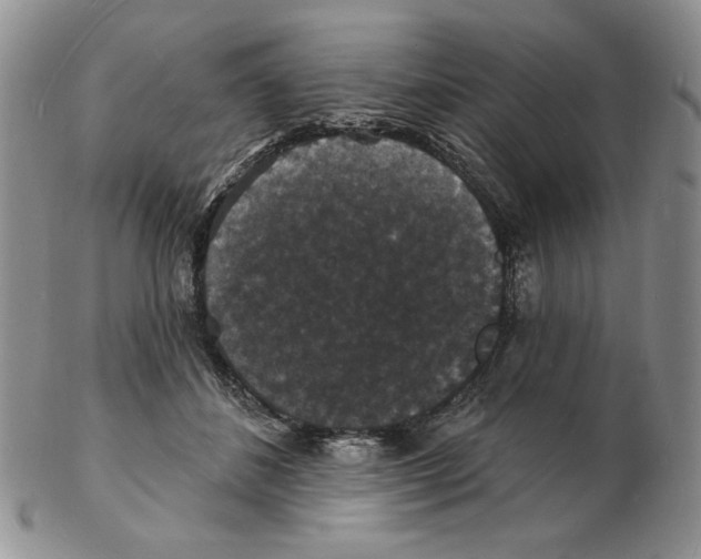 X0000102230508200808221311