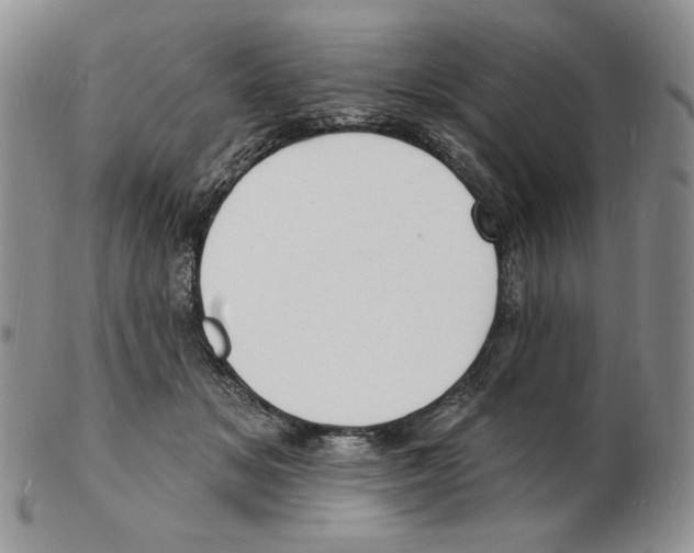 X0000102230509200808221311
