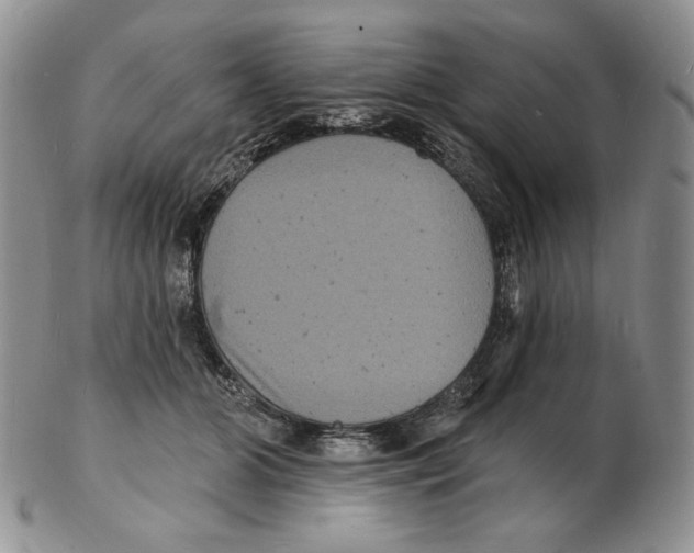 X0000102230510200808221311
