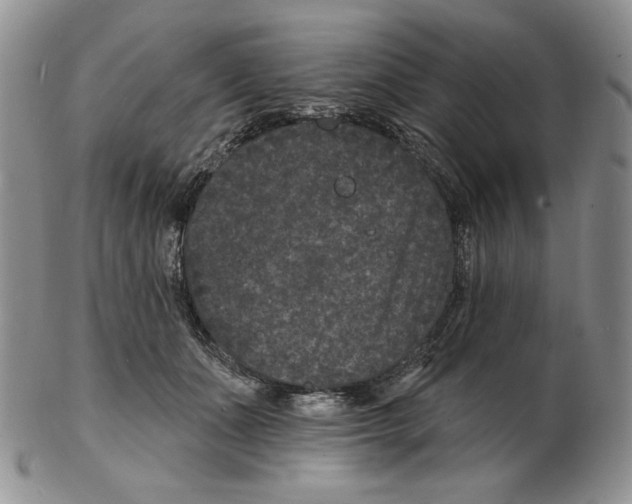 X0000102230511200808221311