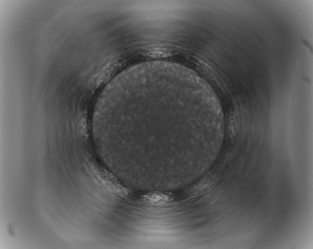 X0000102230512200808221311