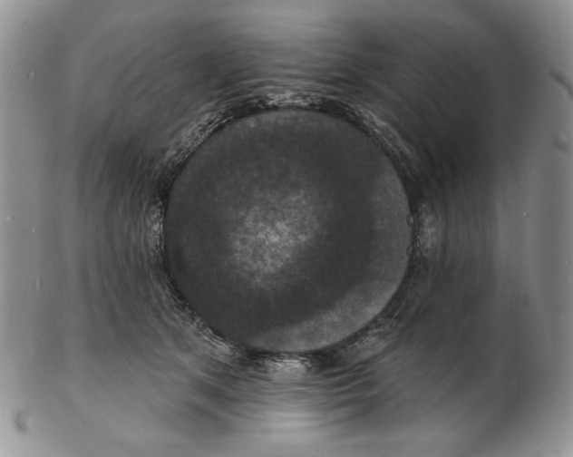 X0000102230513200808221311