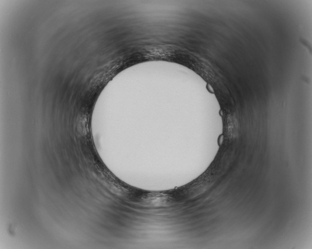 X0000102230514200808221311