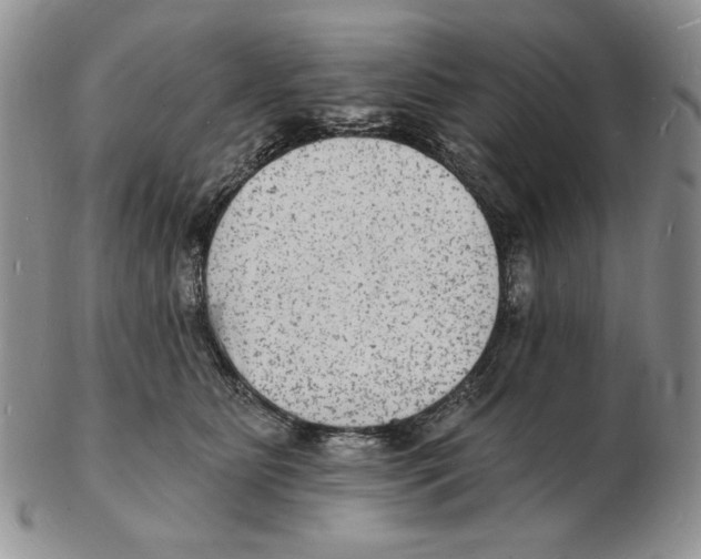 X0000102230515200808221311