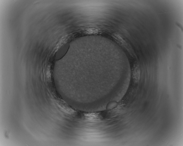 X0000102230516200808221311