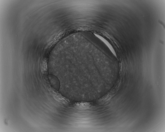 X0000102230517200808221311