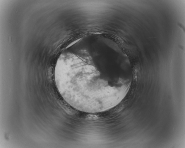 X0000102230519200808221311