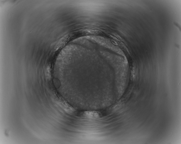 X0000102230520200808221311