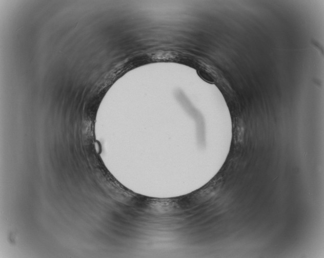 X0000102230521200808221311