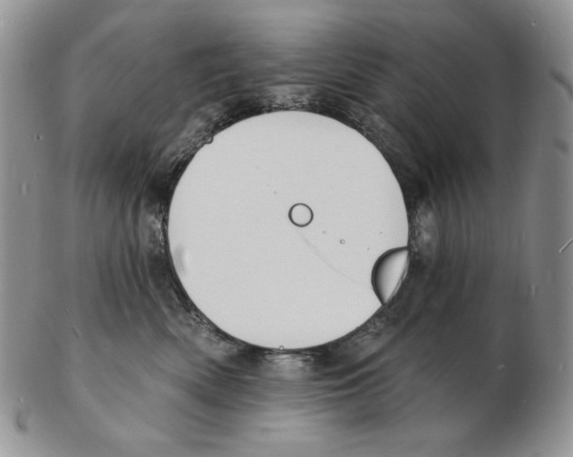 X0000102230522200808221311