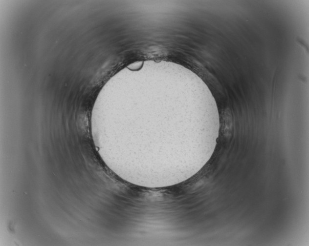 X0000102230523200808221311