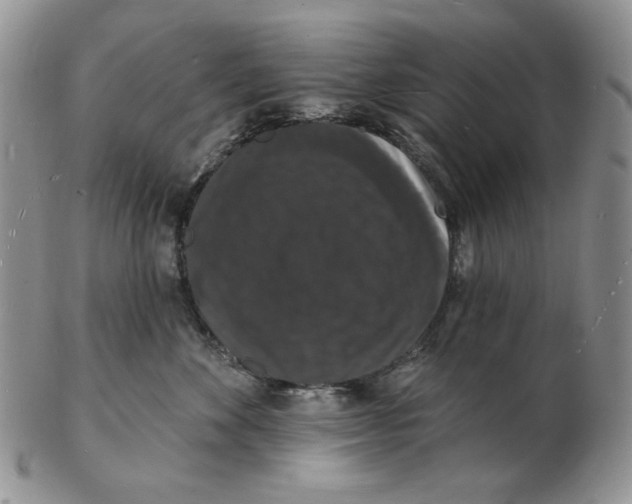 X0000102230524200808221311