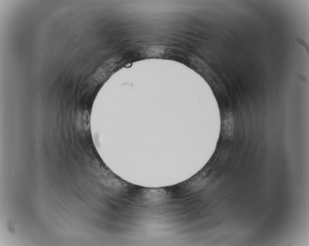 X0000102230525200808221311