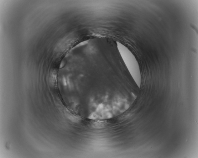 X0000102230527200808221311