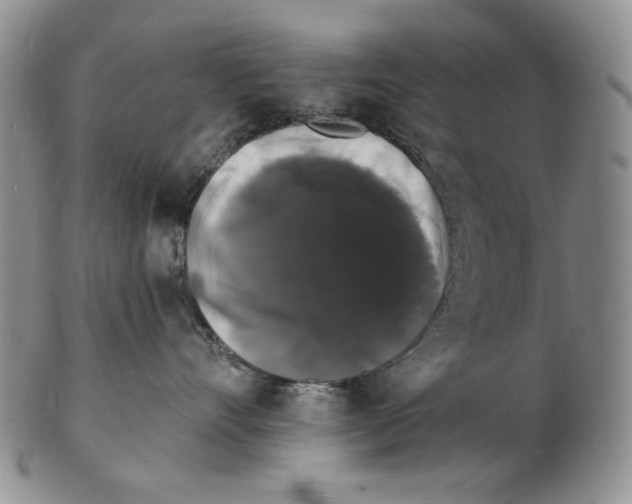X0000102230528200808221311