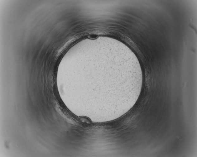 X0000102230530200808221310