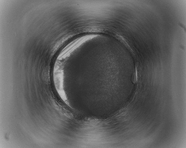 X0000102230531200808221310