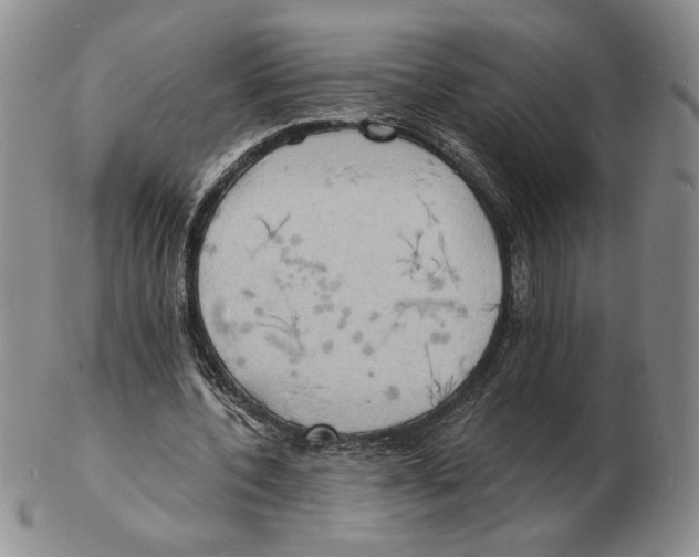 X0000102230532200808221310