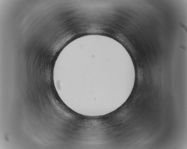 X0000102230533200808221310