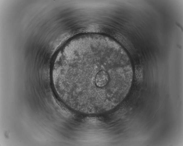 X0000102230534200808221310