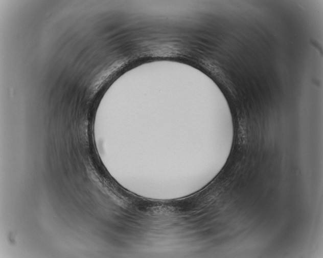X0000102230535200808221310