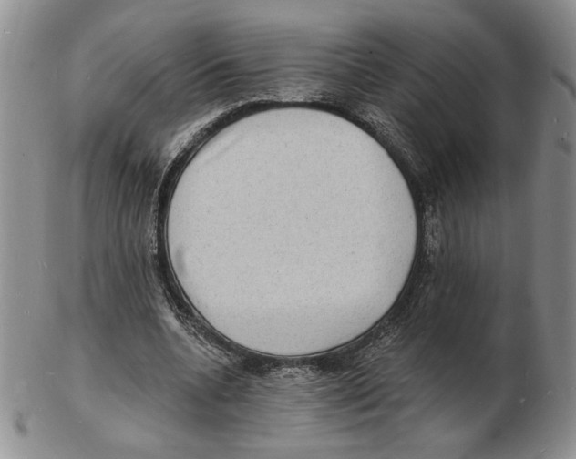 X0000102230536200808221310