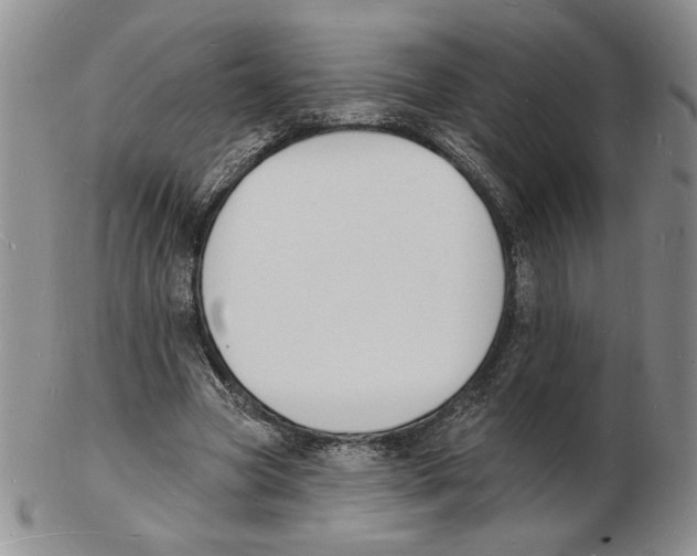 X0000102230537200808221310