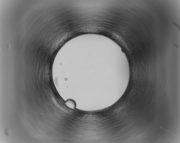 X0000102230538200808221310