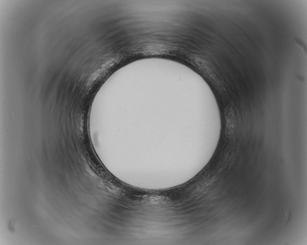 X0000102230539200808221310