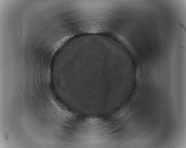 X0000102230540200808221310
