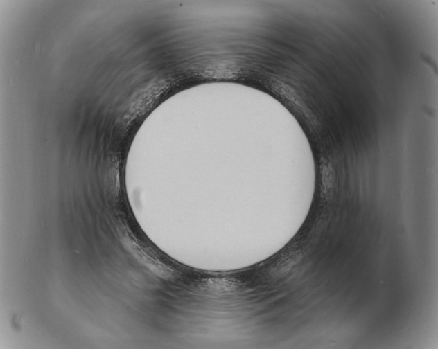 X0000102230541200808221310