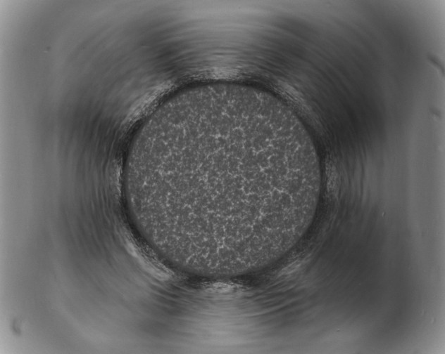 X0000102230542200808221310