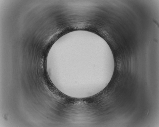 X0000102230543200808221310