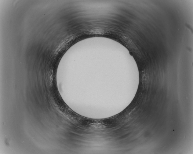 X0000102230544200808221310
