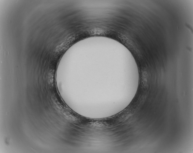 X0000102230545200808221310