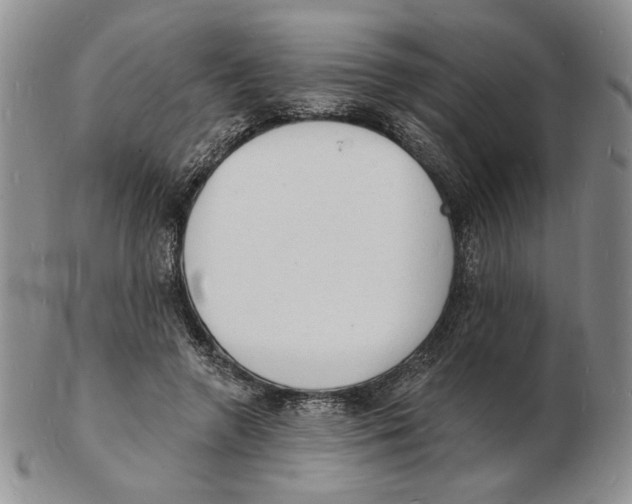 X0000102230546200808221310