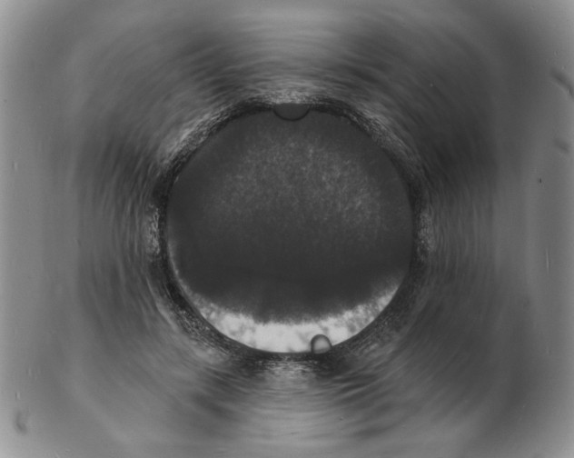 X0000102230547200808221310