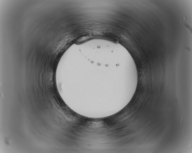 X0000102230548200808221310