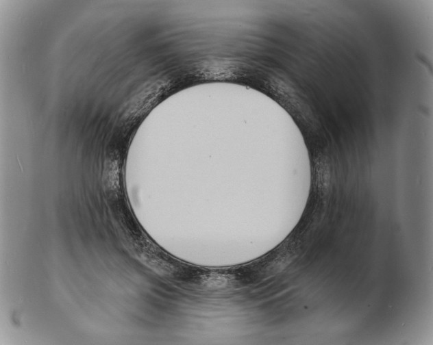 X0000102230549200808221310