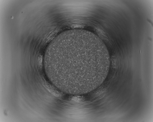 X0000102230550200808221310