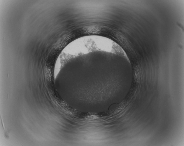 X0000102230551200808221310