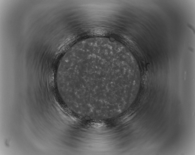 X0000102230552200808221310