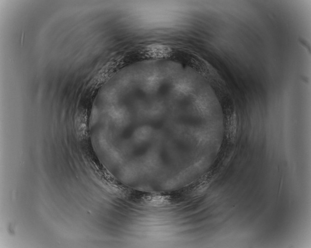 X0000102230553200808221310